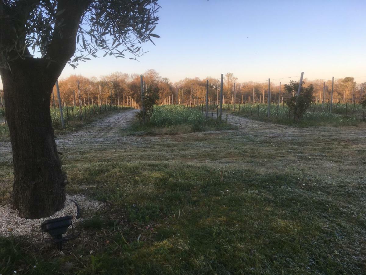 Gite Les Vignes Cravenceres Exterior foto